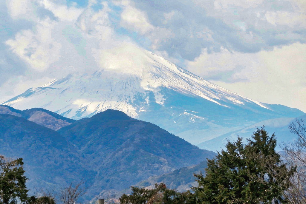 2025年2月22日 第5回シリーズウォーク 松田町西平畑公園からの眺望 暈のかかった雄大な富士山（例年以上に積雪が少ない）