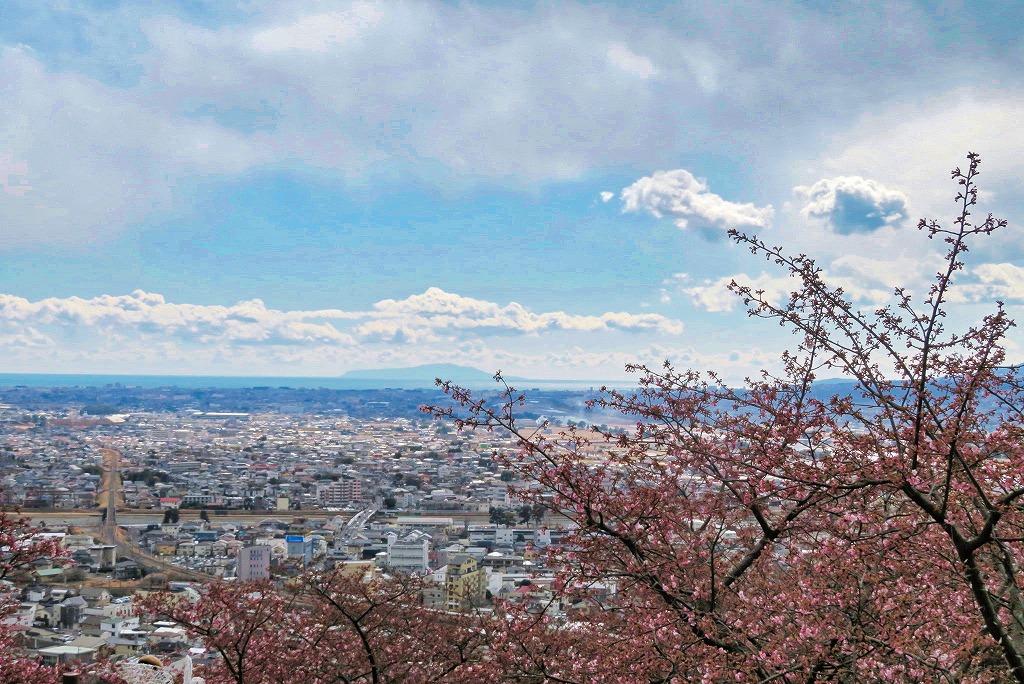 2025年2月22日 第5回シリーズウォーク 松田町西平畑公園からの眺望 松田町全景･画面奥に大島が見える