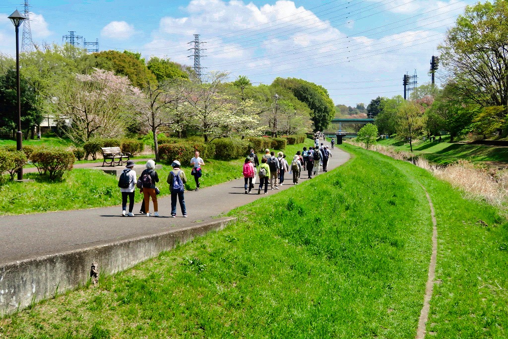2025年4月12日 第193回定例ウォーク 府中市の公園めぐり 都立武蔵野公園 新緑の野川緑道を歩く