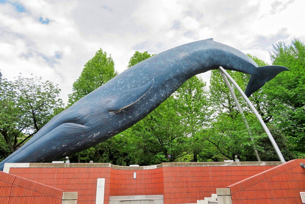 2025年4月26日 第65回カルチャーウォーク 上野公園散策と国立科学博物館見学