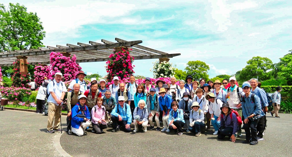 2025年5月15日 第1回シリーズウォーク 横浜山下公園 満開の『未来のバラ園』で記念撮影