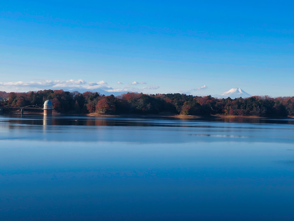 2025年12月6日 第199回定例ウォーク 多摩湖展望台からの富士山