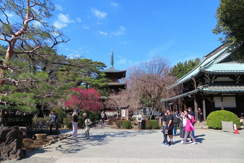 2026年2月28日 第4回シリーズ ウォーク インバウンド客で賑わう豪徳寺庭園