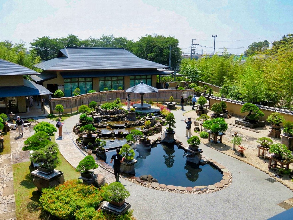 2026年5月16日 第71回カルチャーウォーク 大宮盆栽美術館 庭園全景