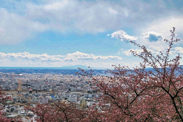 2025年2月22日 第5回シリーズウォーク 松田町西平畑公園からの眺望 松田町全景･画面奥に大島が見える