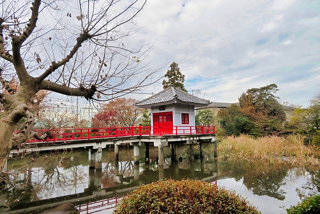 2025年12月20日 第200回定例ウォーク 烏山寺町・高源院 世田谷百景の泉水「弁天池」