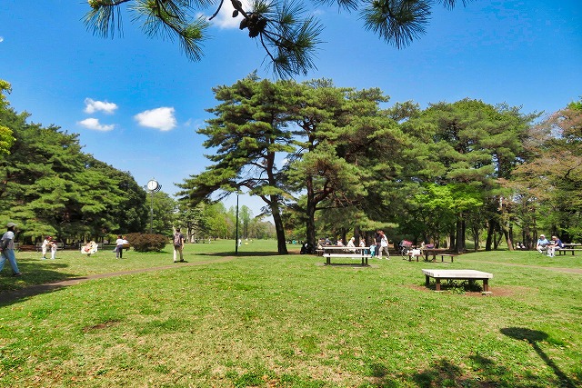 2026年4月11日 第203回定例ウォーク 野川緑道散策 爽やかな風も吹いた野川公園で昼食休憩